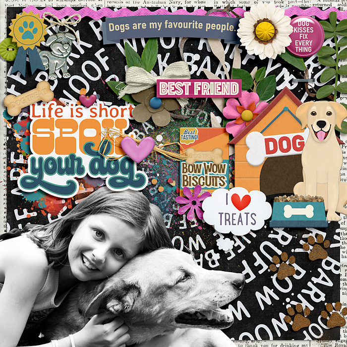 Spoil your dog