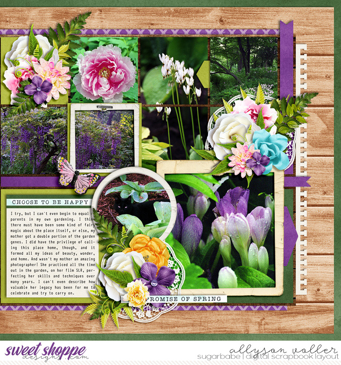 Spring at 3557 right