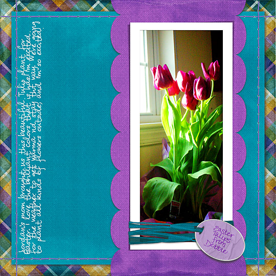 Spring Beauty
