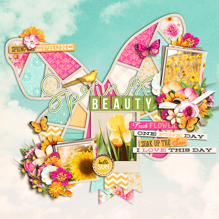 spring beauty