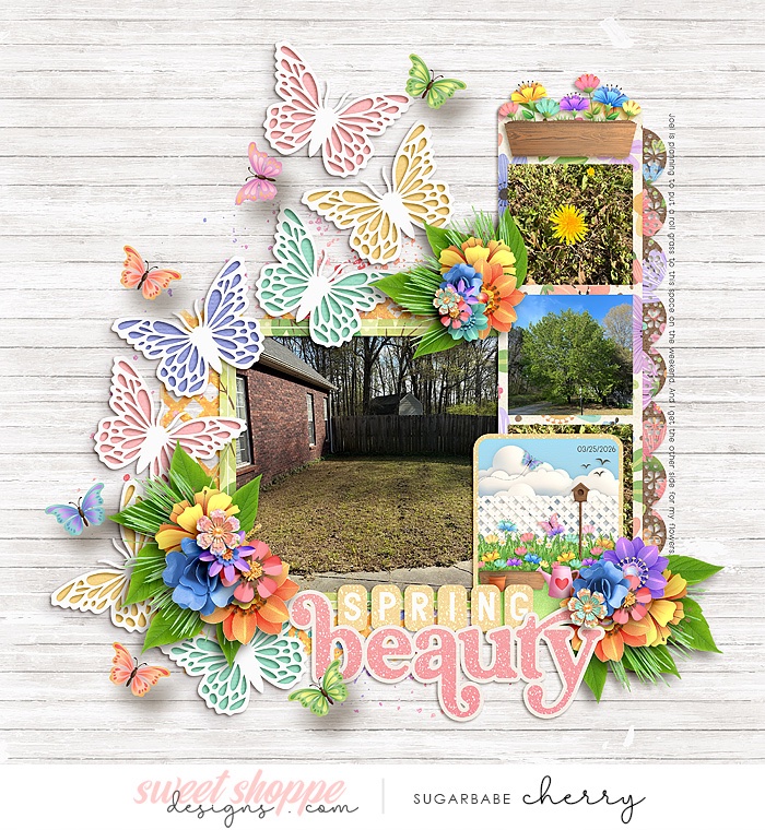 Spring Beauty
