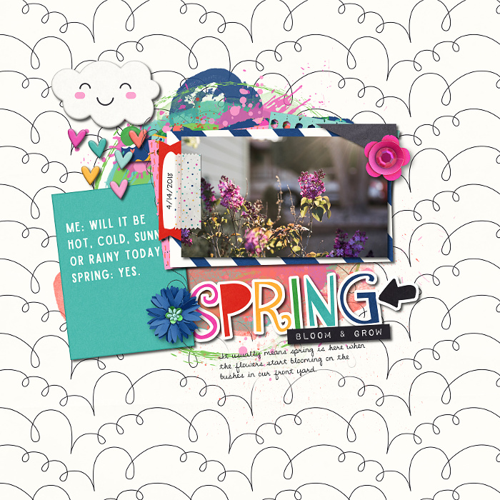 Spring Bloom & Grow