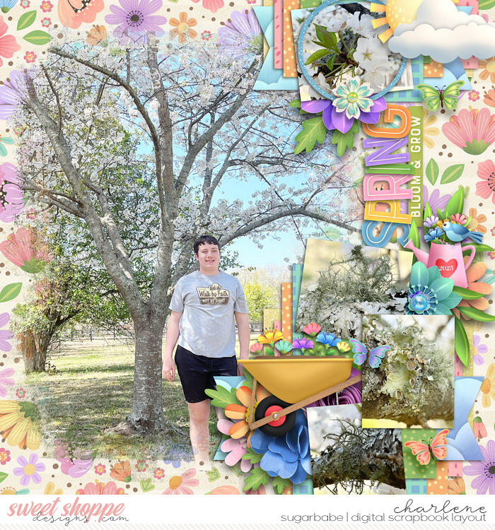 Spring Bloom & Grow