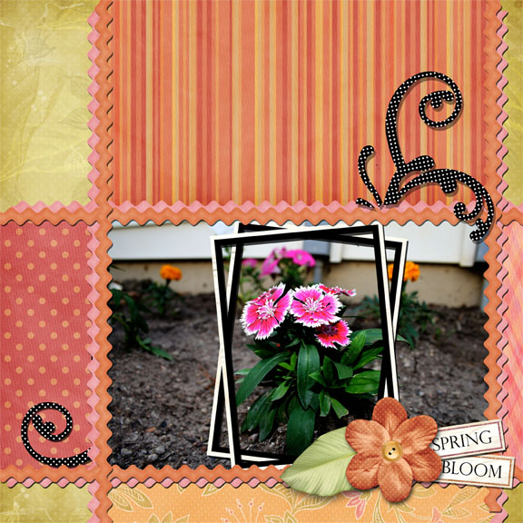 Spring BLoom