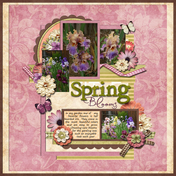 Spring Blooms