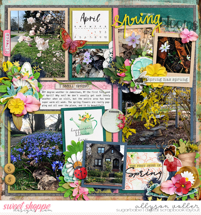 Spring Blooms