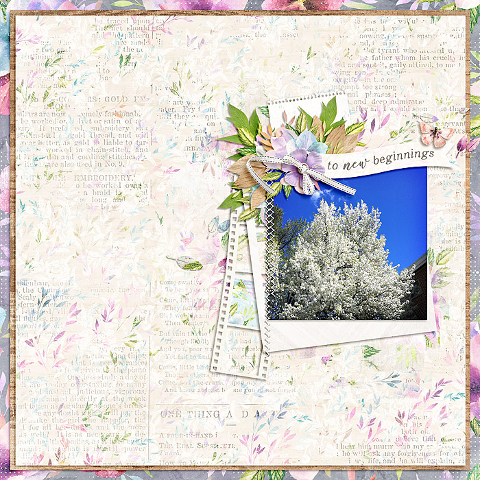 Spring Blooms
