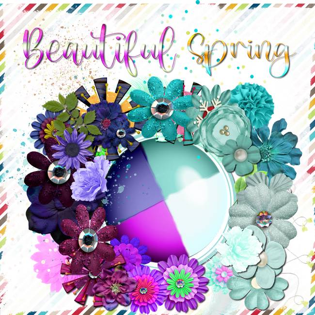 Spring Blooms