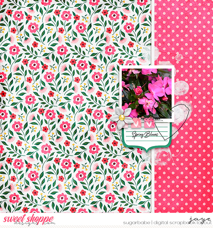 Spring Blooms