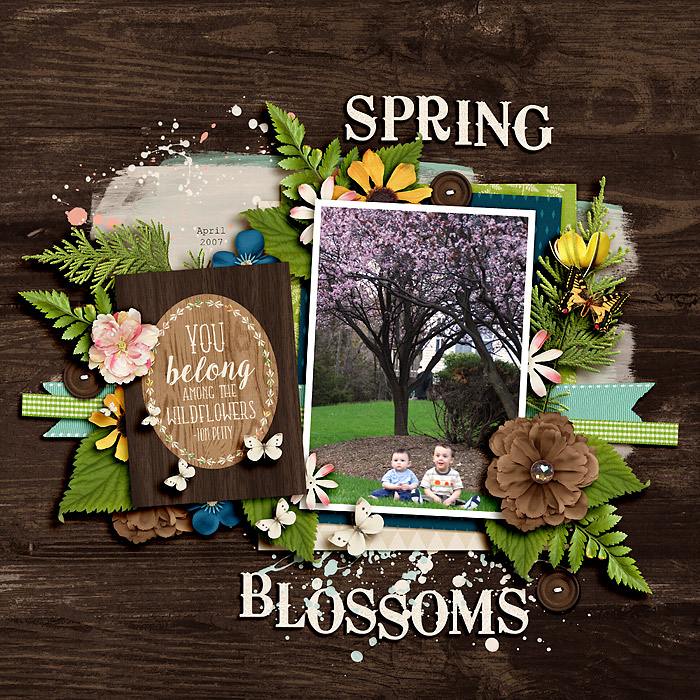 Spring Blossoms
