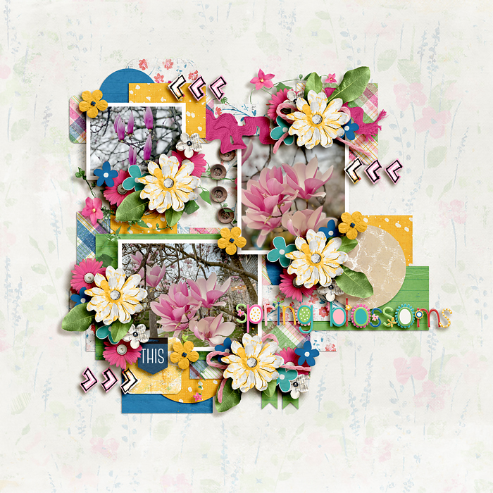 Spring Blossoms