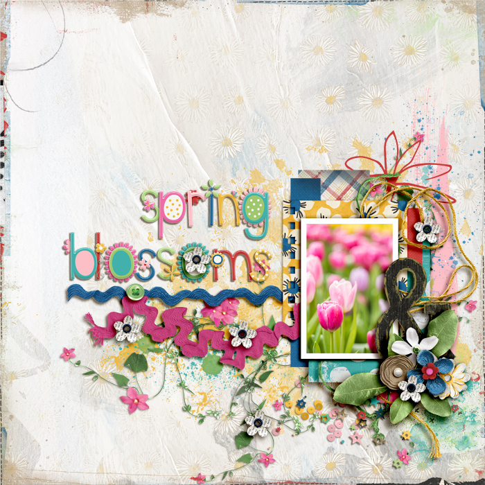 Spring Blossoms