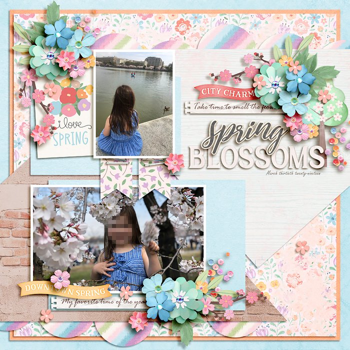 Spring blossoms