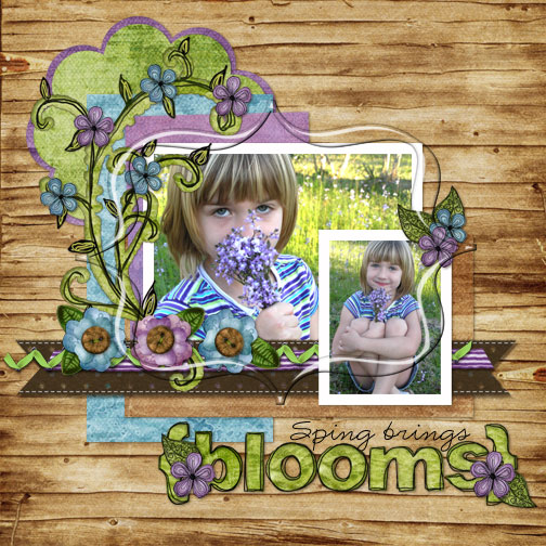 Spring Brings Blooms