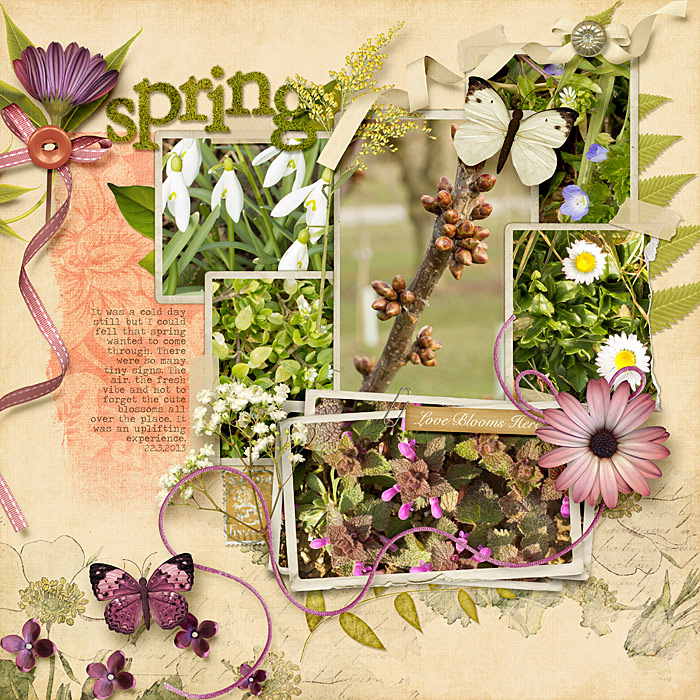 spring coming through