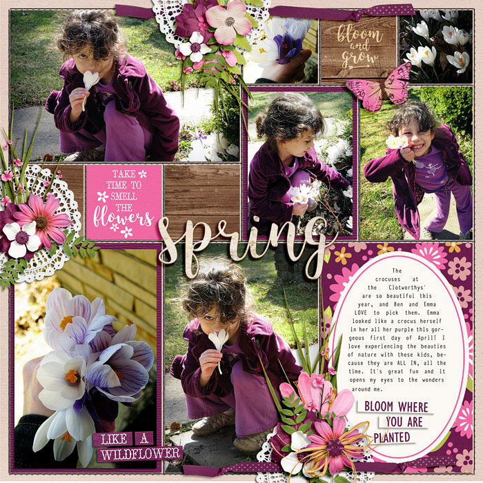 Spring FLowers