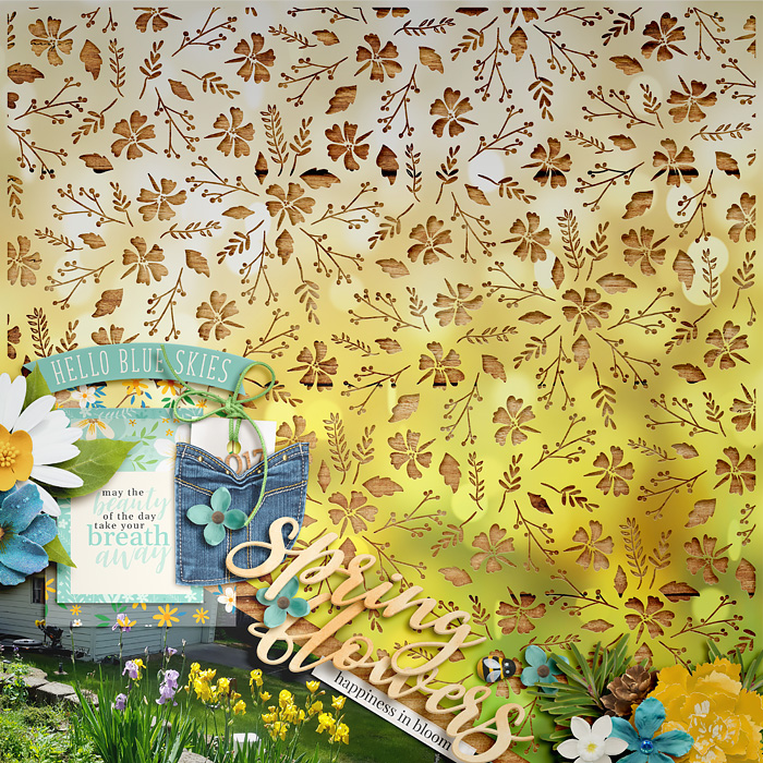 Spring Flowers