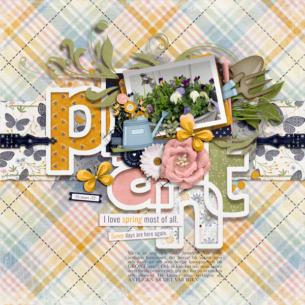 Spring Flowers