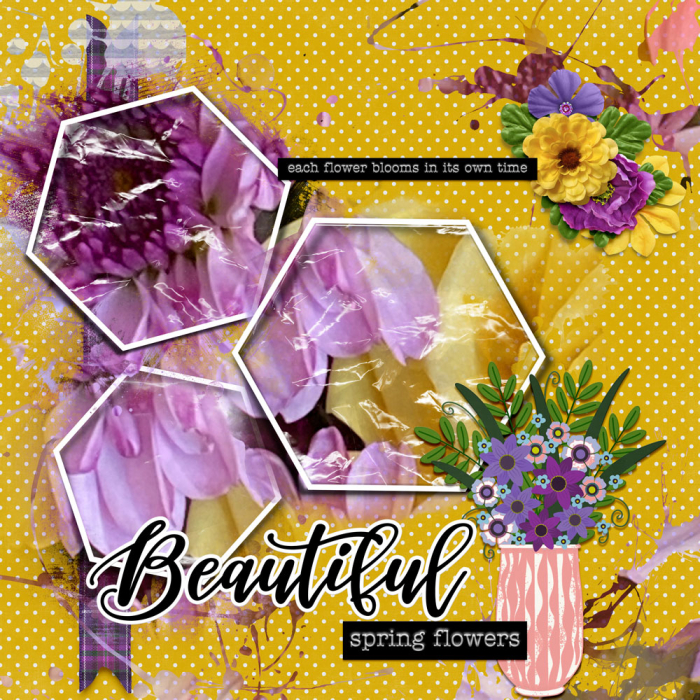 Spring Flowers