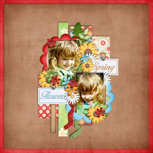 Spring Flowers