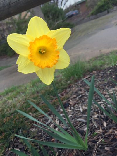 Spring has sprung! - Open House 17th