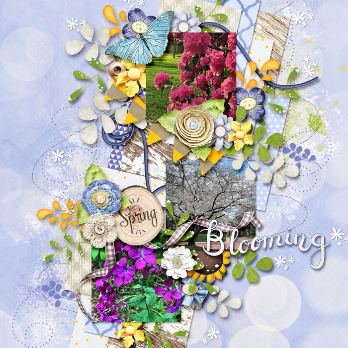 Spring has Sprung