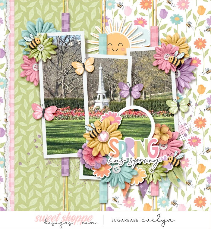 Spring Has Sprung!