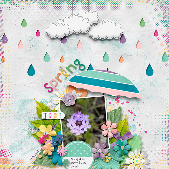 Spring in Bloom