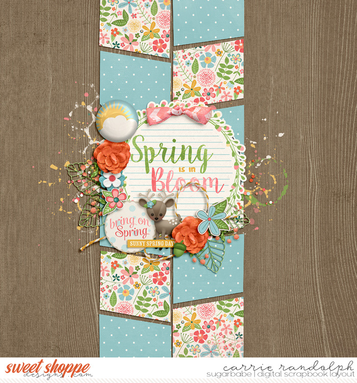 Spring is in Bloom