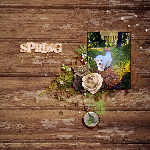 Spring is in the air