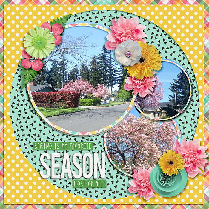 Spring is my Favorite Season
