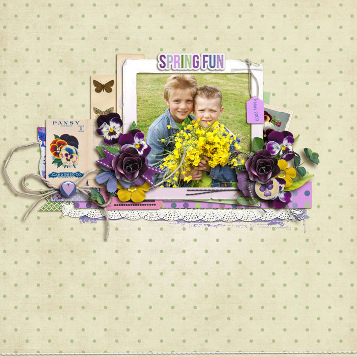Spring Pansy