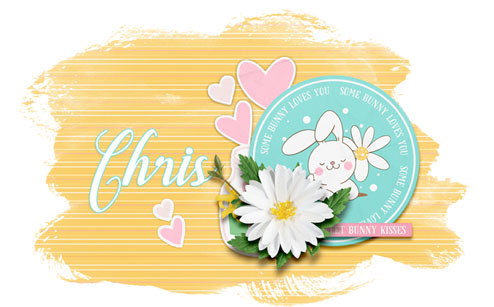 spring siggy