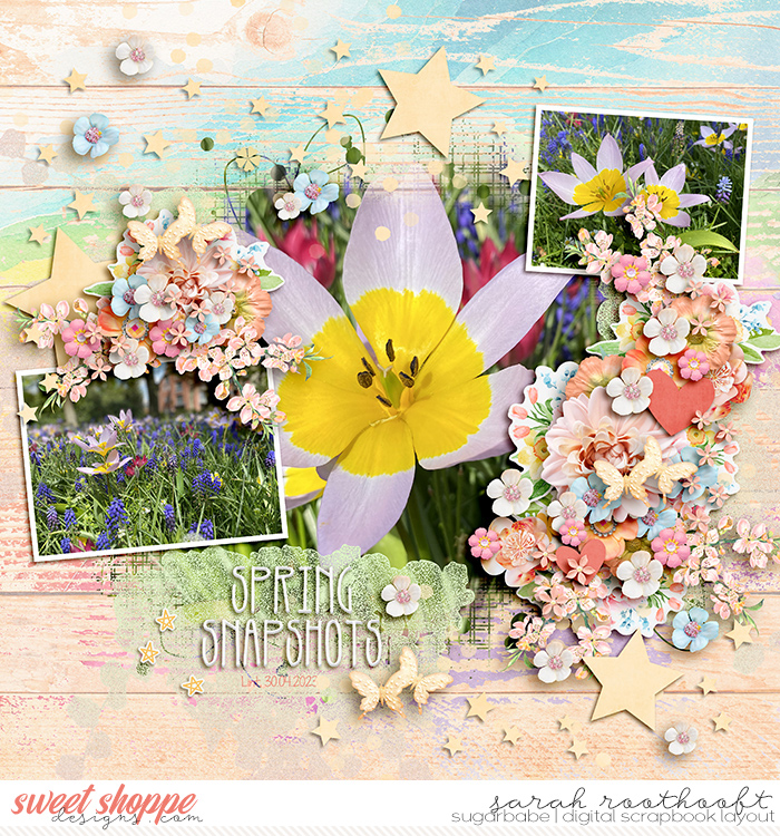 Spring Snapshots