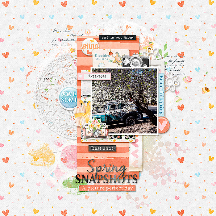 Spring Snapshots