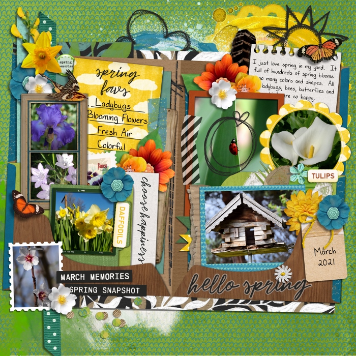 Spring Time Blooms