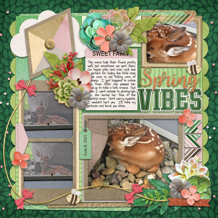 Spring Vibes