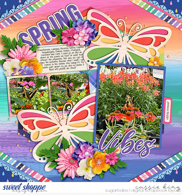 Spring Vibes