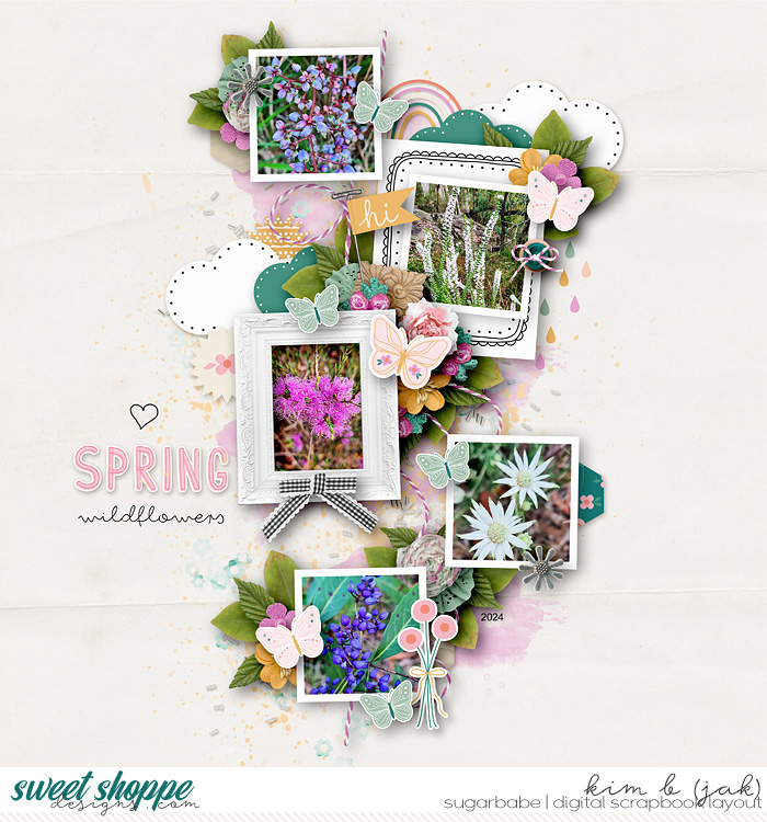 Spring Wildflowers