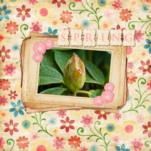 Spring