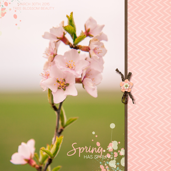 Spring