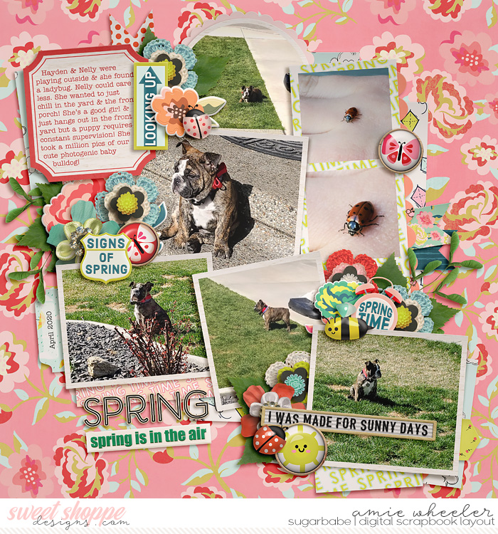 Spring