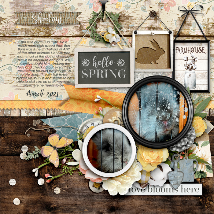 Springtime