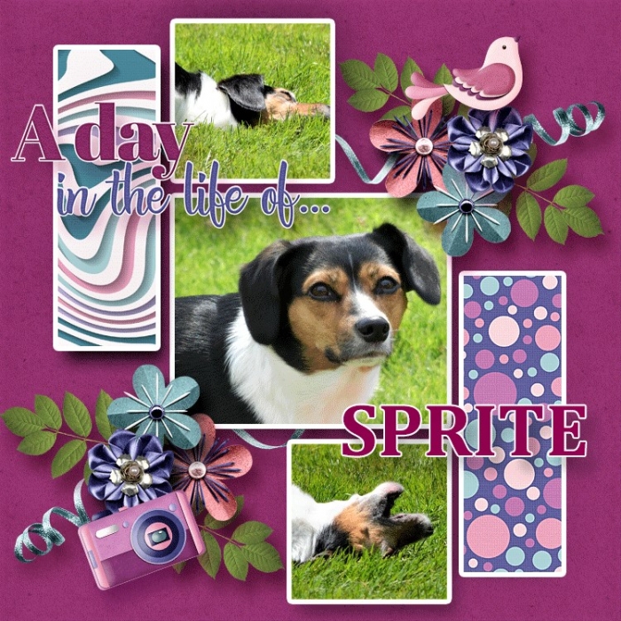 Sprite