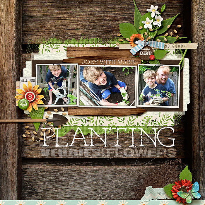 Sprouting Up: In the Garden Bundle