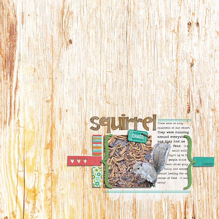 squirrel!