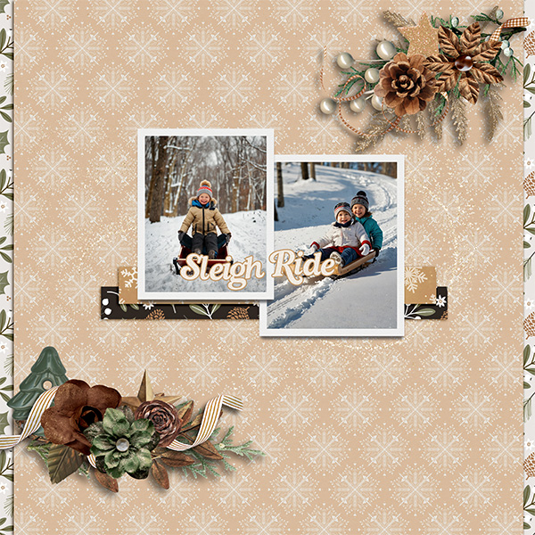 ss_2026_01_scraplift_4