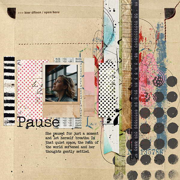 ss_2026_02_pause_and_tiny_photo
