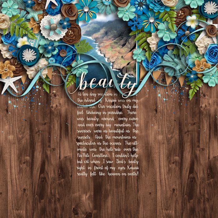 SSD Challenge #3