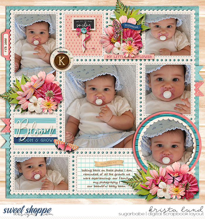 SSD-KL-2008_02-BloomBabyBean